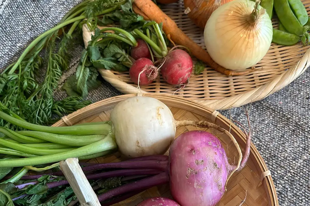 ざるに盛られた旬の野菜